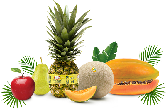 Other products from COLIMAN BANANAS