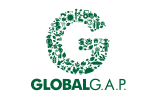 GLOBAL A. P.