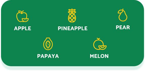 Apple, Pineapple, Pear, Papaya, Melon