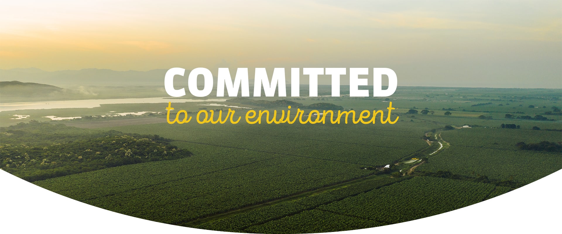 COMMITED to our environment