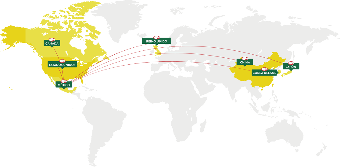 Coliman Bananas Marketing Map